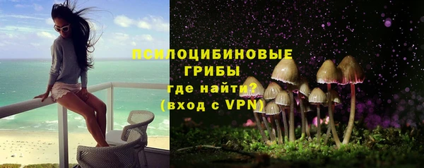 молекула духа Семикаракорск